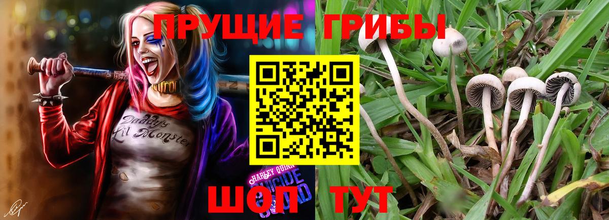 Псилоцибиновые грибы ЛСД  Вход с VPN  Галлюциногенные грибы ЛСД  хочу   Печора 